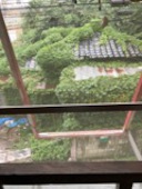 熱帯アジア酒場 2階のぞうさん 国分寺店: ゆみたんさんの2017年06月23日の2枚目の投稿写真