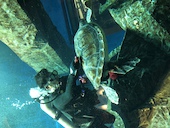 PIER-01 ピアゼロワン 千葉みなと店 シーフードレストラン: すーしゃんさんの2018年07月23日の1枚目の投稿写真