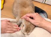 カフェ ミニヨン: あいさんの2026年08月24日の1枚目の投稿写真
