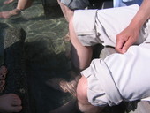 足湯カフェ チットモッシェ: せばすちぁ～のさんの2007年08月19日の1枚目の投稿写真