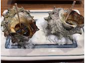力丸 炉ばた焼 たぬき茶屋: しんのすけさんの2025年04月13日の2枚目の投稿写真