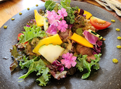 dining kitchen LIFE ダイニングキッチンライフ: みあさんの2026年08月09日の1枚目の投稿写真