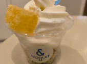 & Yogurt アンドヨーグルト 横浜店: p.pさんの2026年08月24日の1枚目の投稿写真