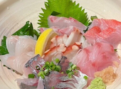 サカズキ屋: ごーごーさんの2026年09月07日の2枚目の投稿写真