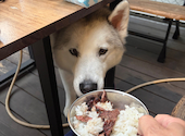 黒毛和牛焼肉 平助屋 田辺店: おしょうさんの2026年04月30日の1枚目の投稿写真