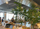 おやさいGARDEN TIERRA Cafe&Kitchen 川西阪急スクエア店: よねさんさんの2025年06月30日の2枚目の投稿写真