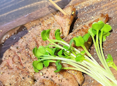 黒毛和牛ステーキ専門店 INAGAWA STEAK: (o^^o)さんの2026年04月01日の2枚目の投稿写真