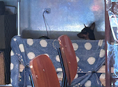 Cafe+Diner Style スタイル: Oliさんの2026年05月17日の1枚目の投稿写真