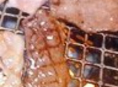 焼肉AZUMA ひびきの店: なみさんの2026年07月29日の2枚目の投稿写真
