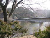 雪の屋: 善さんさんの2010年03月23日の3枚目の投稿写真