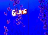 アクアリウムダイニング 新宿 ライム LIME: っpさんの2026年06月29日の1枚目の投稿写真