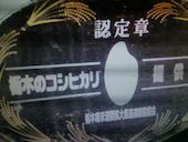 和食屋 なす野: たまこさんの2017年02月23日の1枚目の投稿写真