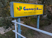 キャナリィ ロウ Cannery Row 刈谷店: マイケルさんの2026年05月25日の3枚目の投稿写真