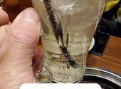 焼肉 ホルモン 牛繁 上野広小路店: ホワイトフクロウさんの2022年12月10日の2枚目の投稿写真