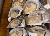 牡蠣海鮮料理 かき家 こだはる 新橋店: ひろさんの2026年10月03日の1枚目の投稿写真