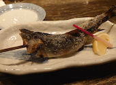 小川の魚: Gontaくんさんの2024年12月22日の2枚目の投稿写真