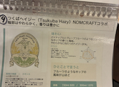 Twin Peaks Mountain Brewing ツインピークスマウンテンブリューイング: なっちゃんさんの2026年09月20日の3枚目の投稿写真