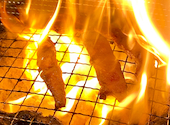 本格塩ホルモン焼肉 炭備: ガジラさんの2020年11月11日の2枚目の投稿写真
