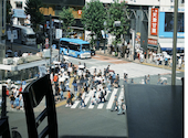USHIHACHI 極 渋谷: Rさんの2026年08月11日の1枚目の投稿写真