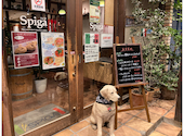 生パスタ専門店 スピガ 松戸店: もなかさんの2026年09月04日の3枚目の投稿写真