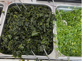 こがね製麺所 高松三谷店: Mmmさんの2026年08月01日の1枚目の投稿写真