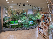 cafe Earth + h.l: じゅんさんの2026年08月26日の1枚目の投稿写真