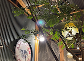 九郎の途上: Ｋさんの2025年01月19日の1枚目の投稿写真
