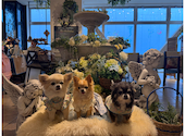 Latere Garden(ラテレガーデン)横浜: チャミさんの2026年09月15日の2枚目の投稿写真