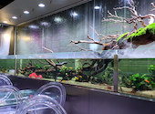 AQUA GARDEN KYOTO アクアガーデン 京都: あんみさんの2025年03月05日の1枚目の投稿写真