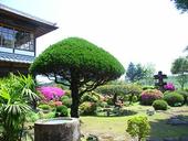 服部亭: トンビさんの2008年04月23日の3枚目の投稿写真