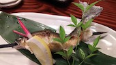 蛍 岐阜: まさしさんの2015年09月29日の1枚目の投稿写真