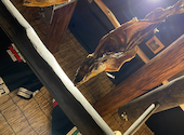 チセのある個室居酒屋　海空のハル: ちーずけーきさんの2024年02月の1枚目の投稿写真