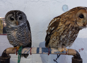 小動物カフェ はなはな: 真空さんの2021年11月08日の1枚目の投稿写真
