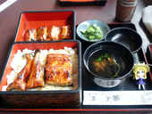 うなぎ水門: 退会済みユーザーさんの2011年05月09日の1枚目の投稿写真