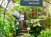 Cafe de ROPPONGI: aki chanさんの2024年04月19日の3枚目の投稿写真