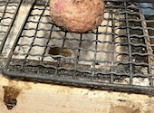炭火焼き無限バーグ 無限: ハチワレさんの2026年06月30日の1枚目の投稿写真