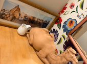 GALLERY&CAFE CAMELISH: Mさんの2026年05月18日の1枚目の投稿写真
