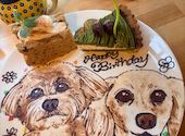 GALLERY&CAFE CAMELISH: Mさんの2026年05月18日の3枚目の投稿写真