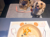 ROCA ITALIAN LOUNGE ロカ イタリアンラウンジ 恵比寿: Mさんの2026年04月15日の1枚目の投稿写真