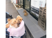 ROCA ITALIAN LOUNGE ロカ イタリアンラウンジ 恵比寿: Mさんの2026年04月15日の3枚目の投稿写真