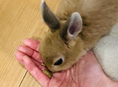 カフェ ミニヨン: Kさんの2026年09月12日の1枚目の投稿写真