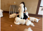 ドッグカフェ ルミナス 県庁前: ことさんの2026年09月12日の3枚目の投稿写真