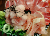 海の達磨 魚心 有楽町店: なみーさんの2026年08月06日の1枚目の投稿写真