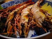 つむら: umiさんの2007年04月12日の2枚目の投稿写真