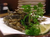 居酒屋お功楽や: satoeriさんの2010年07月06日の1枚目の投稿写真