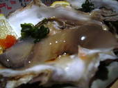 ふか川: satoeriさんの2011年03月21日の1枚目の投稿写真