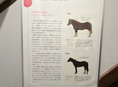 大衆酒場　馬にっく: たかやんさんの2026年04月18日の1枚目の投稿写真