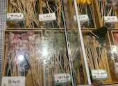 串家物語 イオンモール大和郡山店: なつこさんの2026年06月02日の2枚目の投稿写真