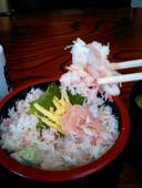 寸楽鮨: 飼い猫の銀太さんの2011年01月16日の2枚目の投稿写真