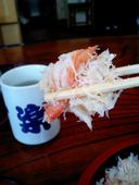 寸楽鮨: 飼い猫の銀太さんの2011年01月16日の3枚目の投稿写真